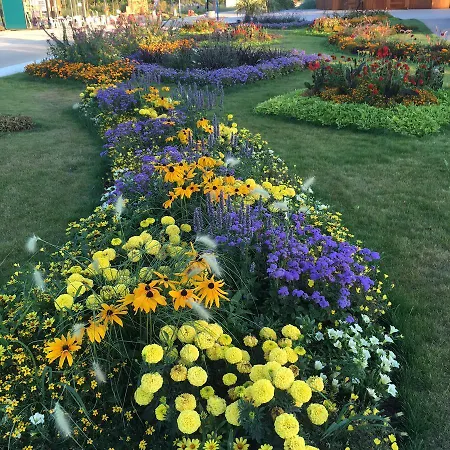 アパート Zakharov